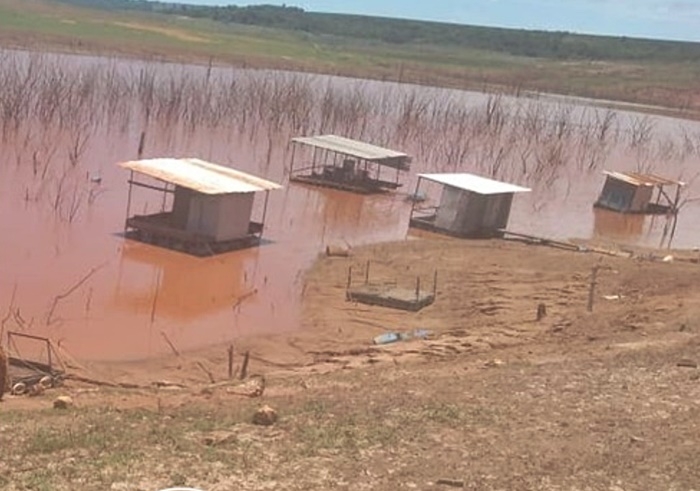 BAIXO NÍVEL DA ÁGUA MORTANDADE DE PEIXES PREOCUPAM PROPRIETÁRIOS DE RANCHO NA REPRESA