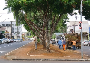 REVITALIZAÇÃO DO CANTEIRO CENTRAL DA AV. RUI BARBOSA É INICIADA