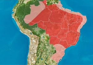 CALOR EXTREMO VOLTARÁ A ATINGIR O BRASIL EM OUTUBRO; PREPARE-SE!