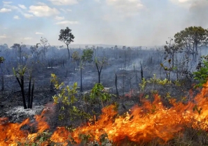 FUMAÇA DAS QUEIMADAS JÁ ALCANÇA 60% DO PAÍS E PODE CHEGAR A ARGENTINA