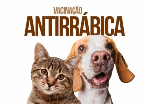 ATUALIZADA! VACINAÇÃO DE CÃES E GATOS NA ÁREA URBANA COMEÇA EM SETEMBRO