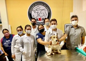 EMENDA DE R$ 100 MIL PARA CASTRAÇÃO DE ANIMAIS JÁ ESTÁ NA CONTA DA ADA, DIZ THIAGO MALAGOLI