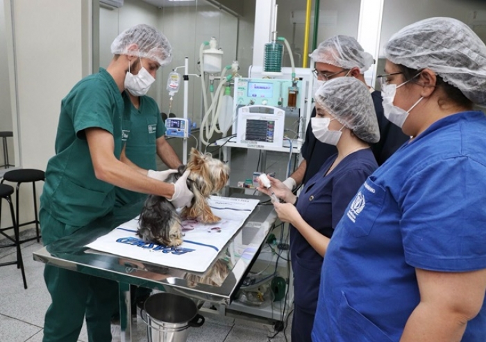 CENTRO DE SAÚDE ANIMAL DO UNICERP: EXCELÊNCIA VETERINÁRIA AO ALCANCE DE TODOS