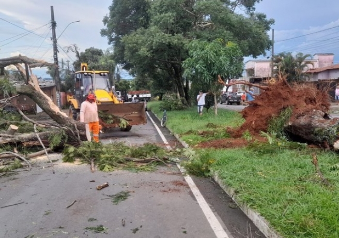 FORÇA TAREFA DA SECRETARIA DE OBRAS E SESTRAN AGE COM RAPIDEZ AO DESOBSTRUIR VIAS PÚBLICAS APÓS FORTE CHUVA