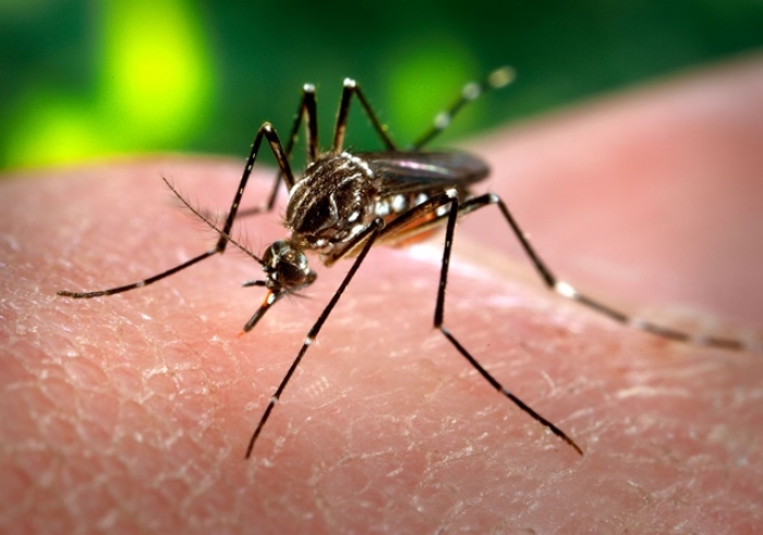 PATOS DE MINAS CRIA CENTRO DE ATENDIMENTO EXCLUSIVO PARA PACIENTES COM DENGUE