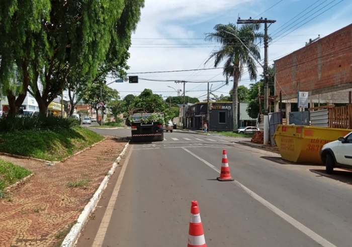 SESTRAN FAZ PODA DE ÁRVORES PARA MELHORAR VISUALIZAÇÃO DE SEMÁFOROS