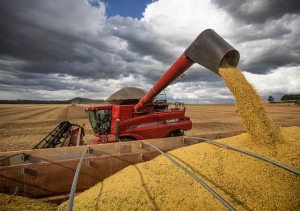 SAIBA QUAIS SÃO AS CIDADES CONSIDERADAS ‘PILARES’ DO AGRONEGÓCIO BRASILEIRO