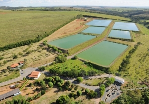 POR 8 X 7, CÂMARA APROVA AUMENTO NA TARIFA DE TRATAMENTO DE ESGOTO