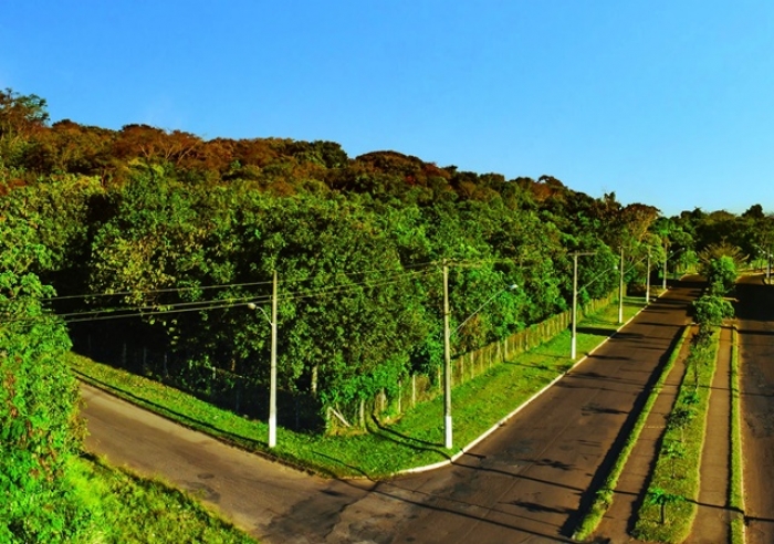 EXPECTATIVA PARA O INÍCIO DAS OBRAS DE REVITALIZAÇÃO DO PARQUE DA MATINHA