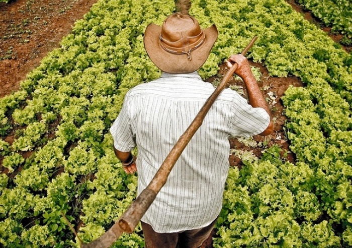 PEQUENOS PRODUTORES RURAIS DE PATROCÍNIO REALIZAM ENCONTRO COM COORDENADOR DO MINISTÉRIO DO DESENVOLVIMENTO AGRÁRIO E AGRICULTURA FAMILIAR DE MG