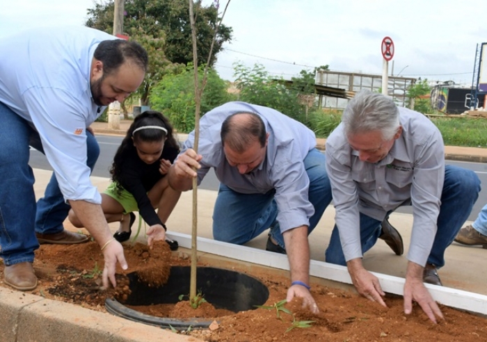 FASE 1 DA REVITALIZAÇÃO DA AVENIDA DO CATIGUÁ RECEBE PLANTIO DE IPÊS