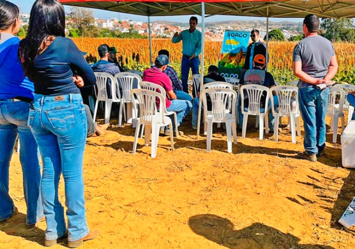 COOPA PARTICIPA DE DIA DO CAMPO DO SORGO, REALIZADO PELO CURSO DE AGRONOMIA DO UNICERP