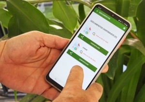 EMATER-MG LANÇA APLICATIVO PARA ATENDER PRODUTOR DE FORMA VIRTUAL